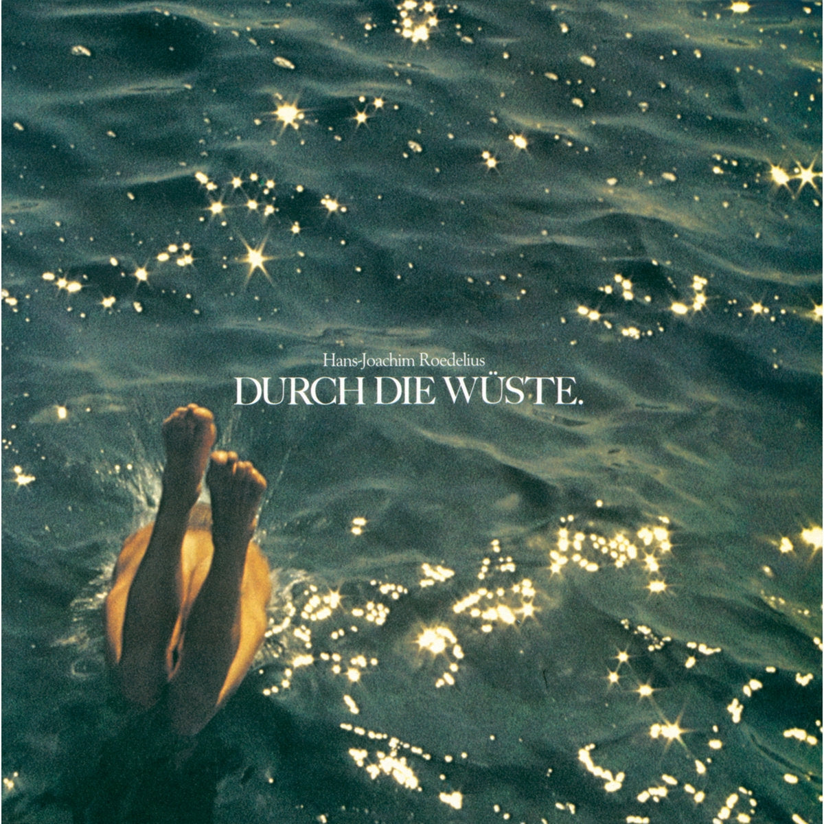HANS-JOACHIM ROEDELIUS / DURCH DIE WUSTE