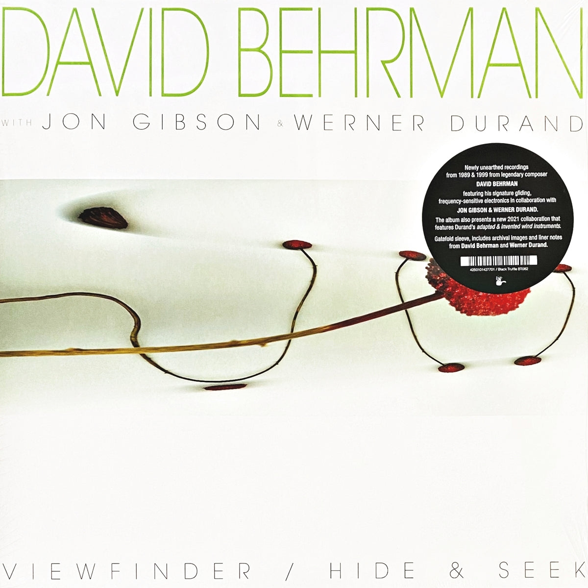 DAVID BEHRMAN WITH JON GIBSON & WERNER DURAND / VIEWFINDER / HIDE & SEEK
