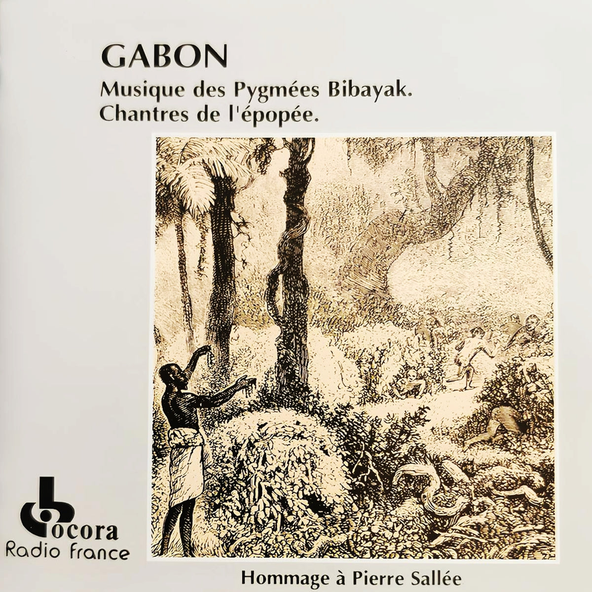 PYGMEES BIBAYAK / GABON : MUSIQUE DES PYGMEES BIBAYAK