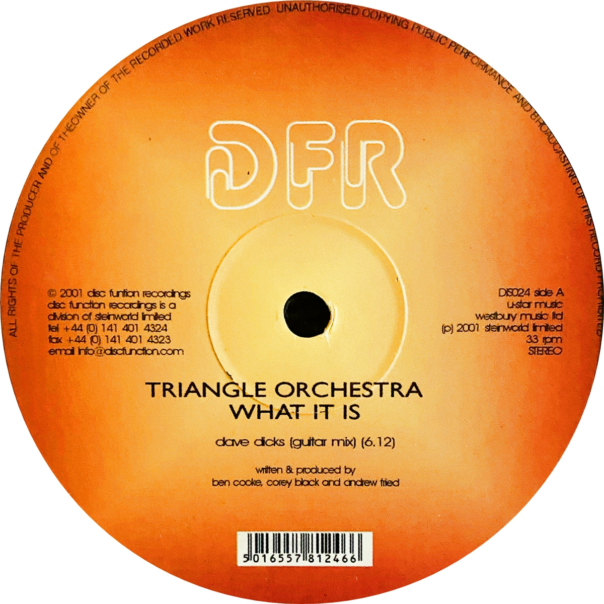 TRIANGLE ORCHESTRA / WHAT IT IS