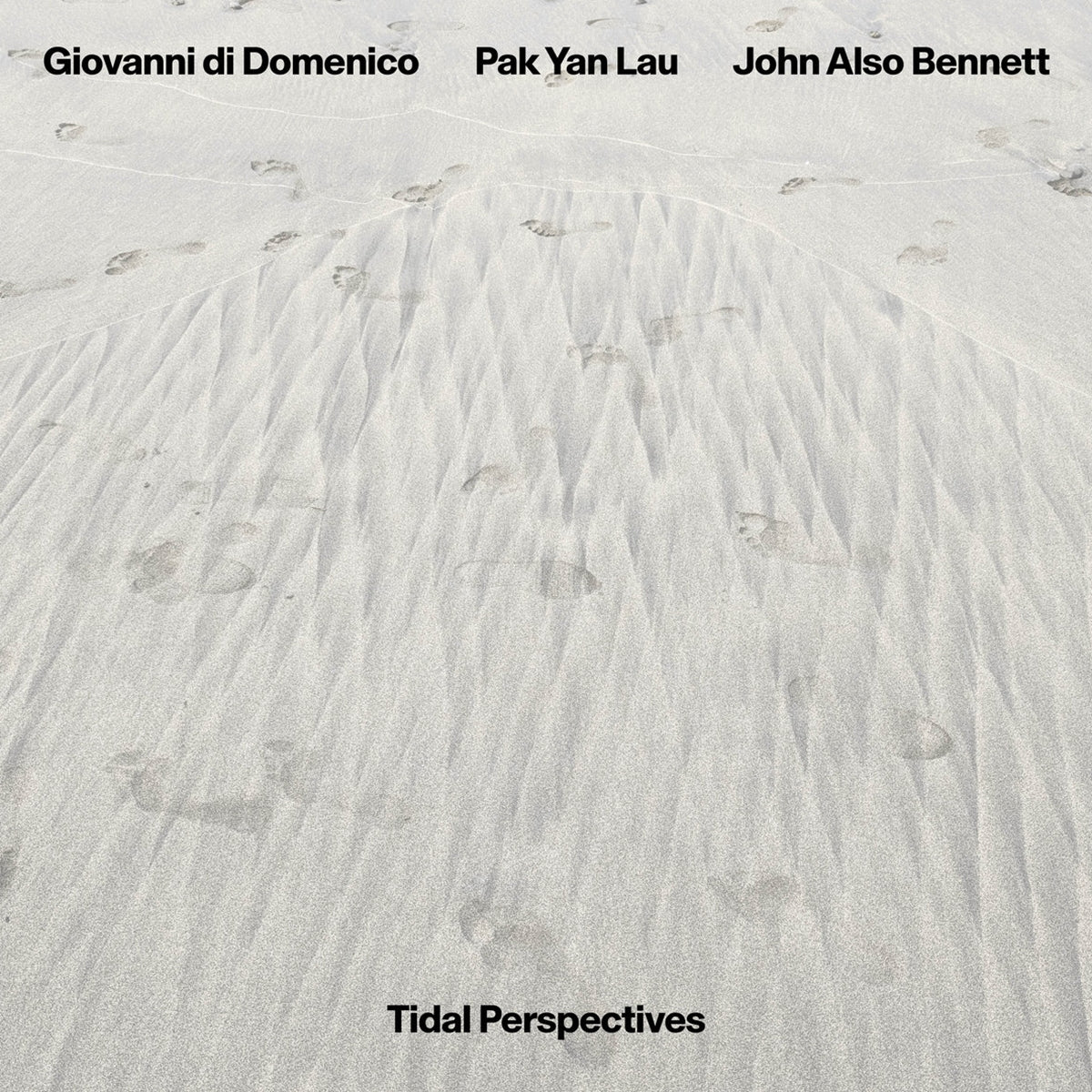 GIOVANNI DI DOMENICO, PAK YAN LAU, JOHN ALSO BENNETT / TIDAL PERSPECTIVES