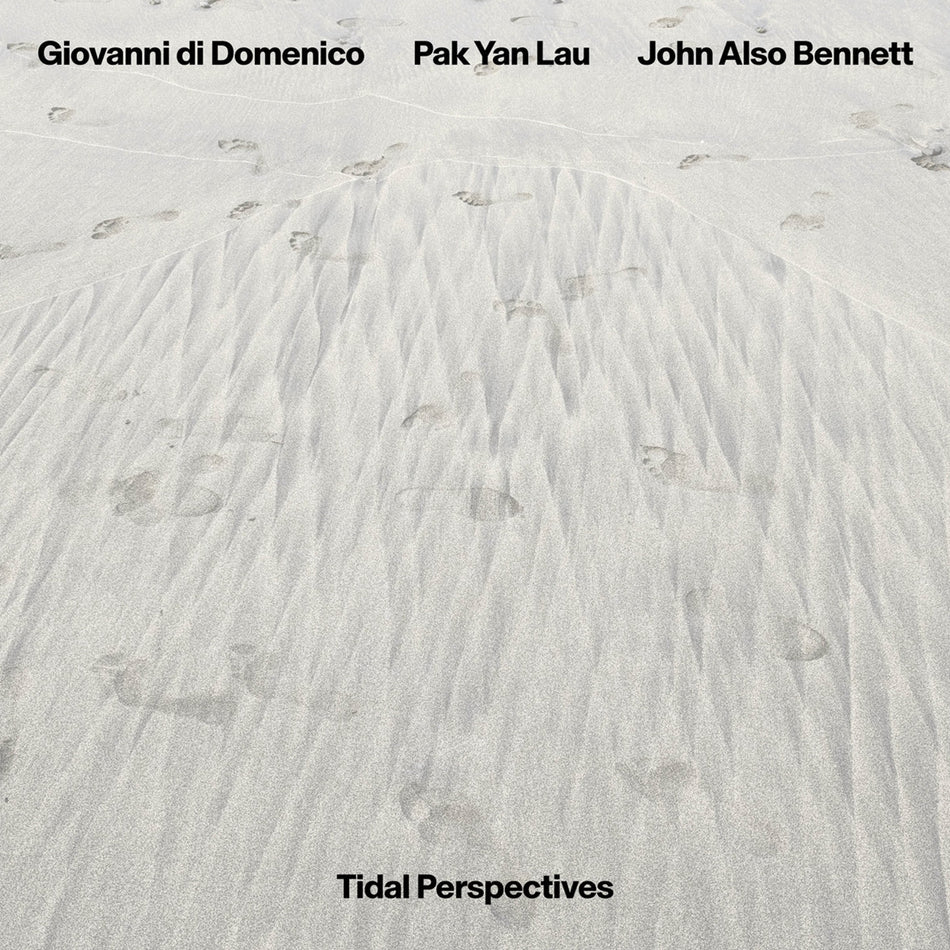 GIOVANNI DI DOMENICO, PAK YAN LAU, JOHN ALSO BENNETT / TIDAL PERSPECTIVES