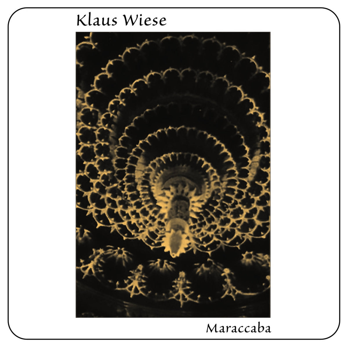 KLAUS WIESE / MARACCABA