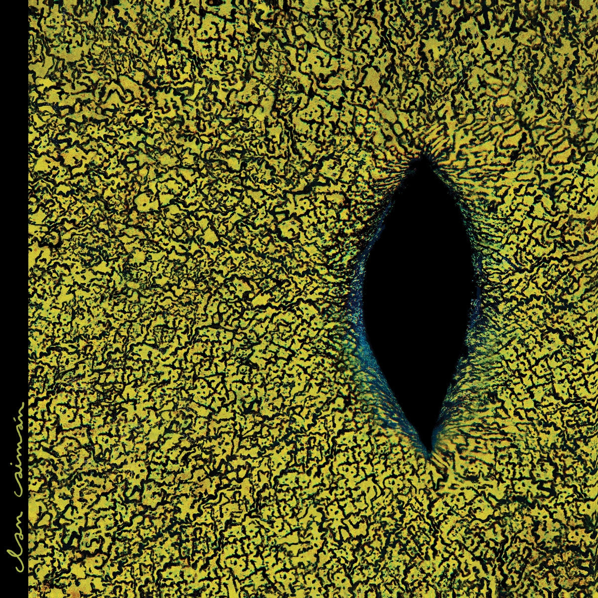 CLAN CAIMAN / CLAN CAIMAN
