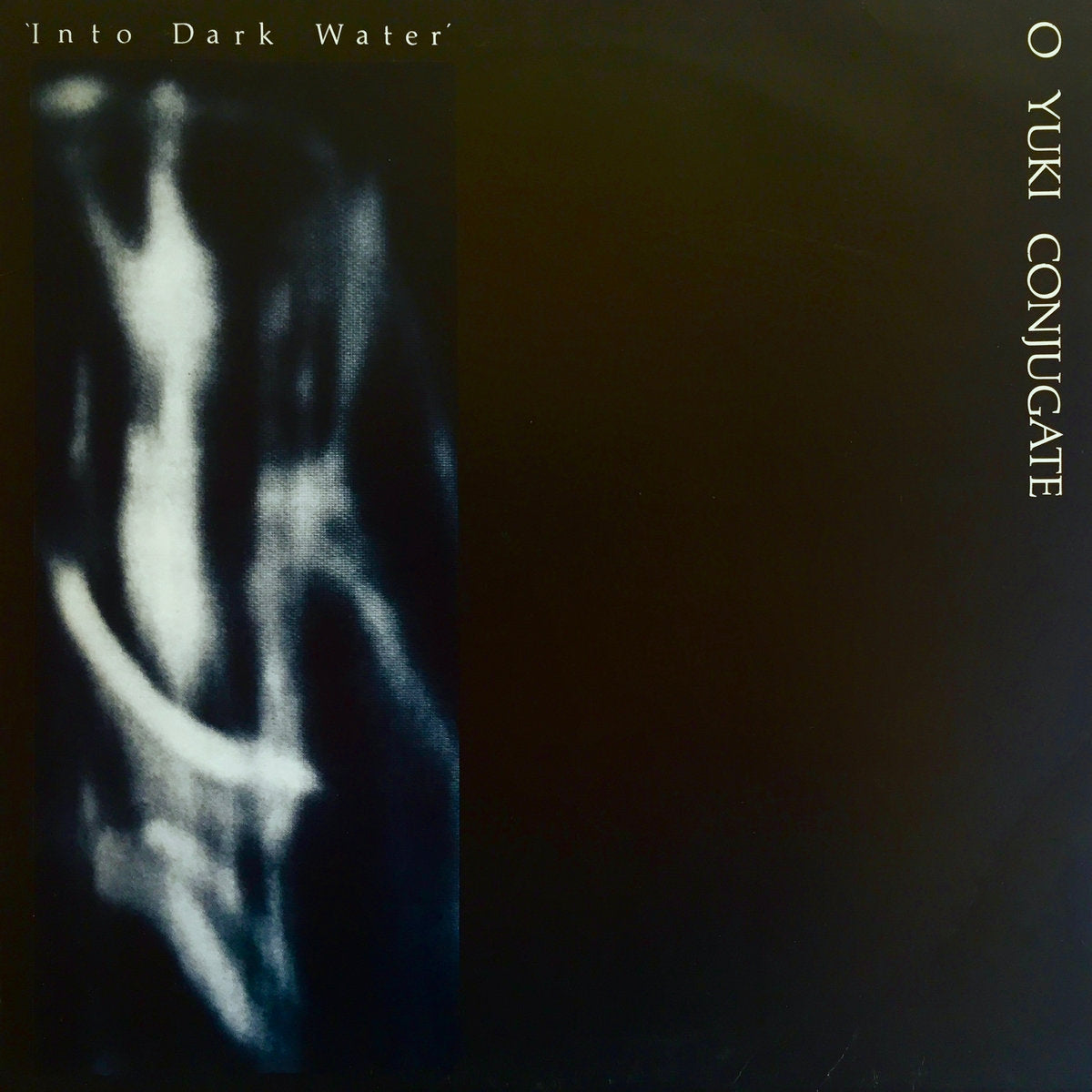 O YUKI CONJUGATE / INTO DARK WATER