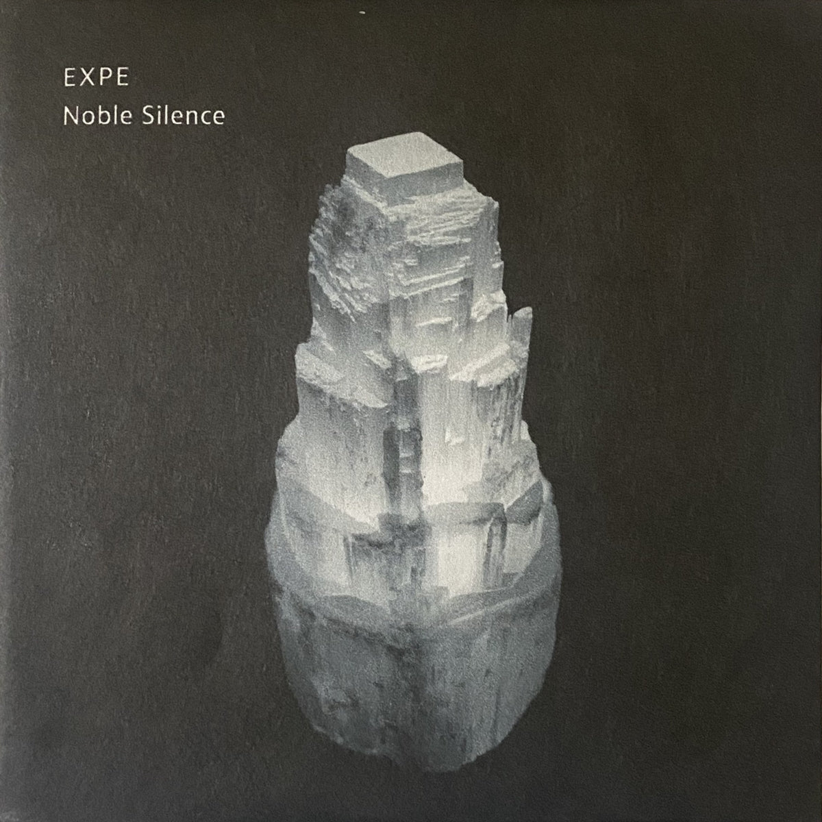 YOSHITAKE EXPE / NOBLE SILENCE