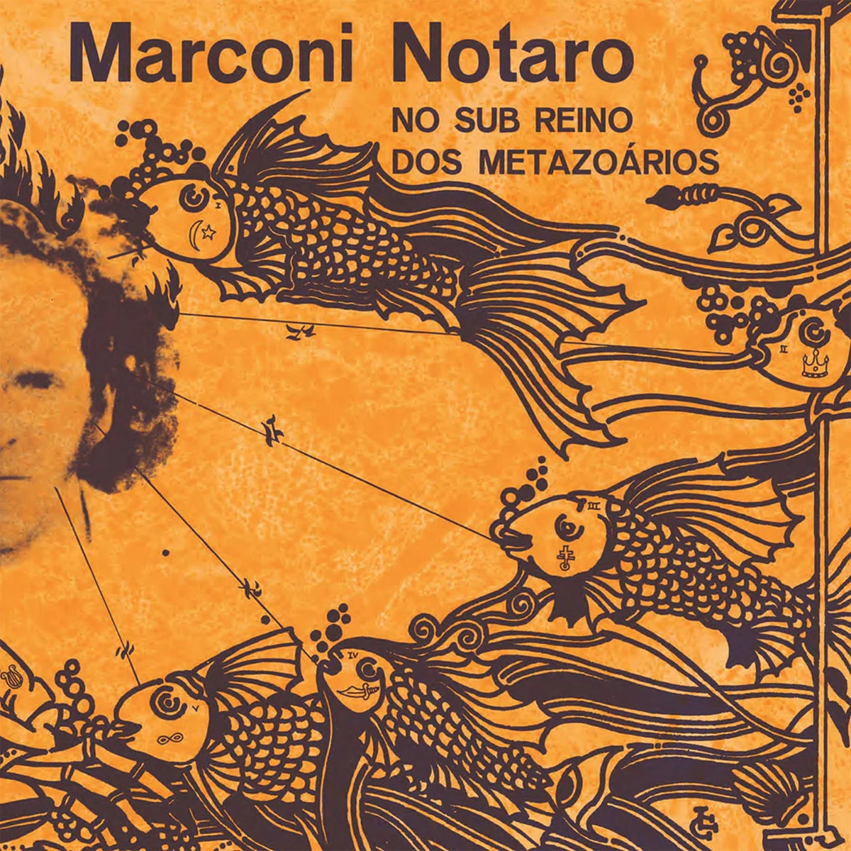 MARCONI NOTARO / NO SUB REINO DOS METAZOARIOS