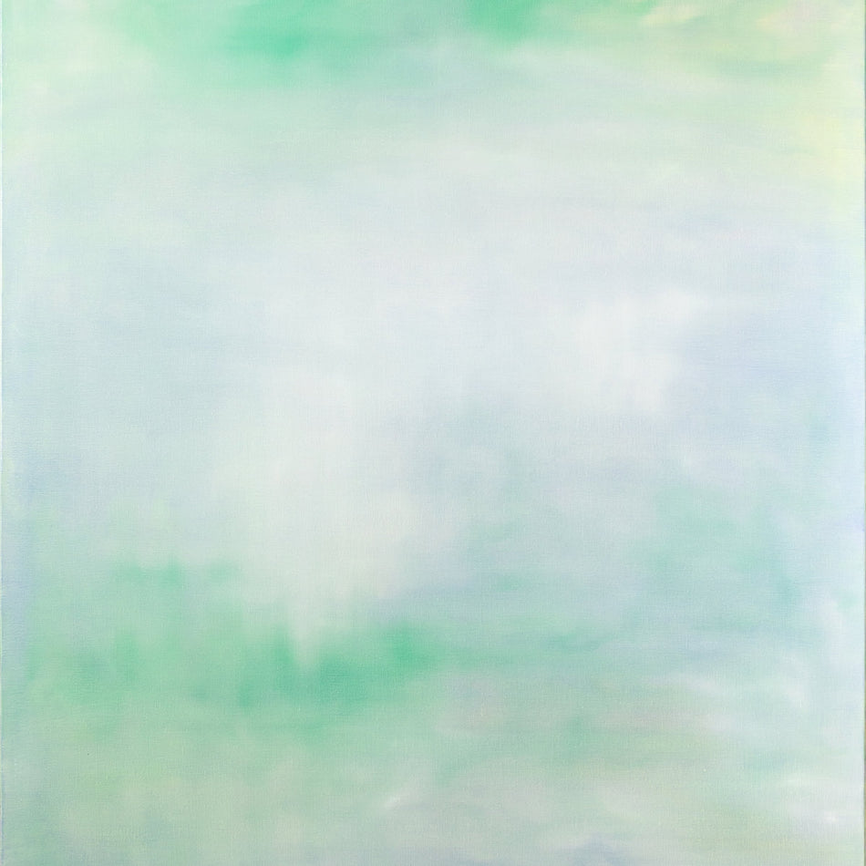 CHIHEI HATAKEYAMA / HACHIROGATA LAKE