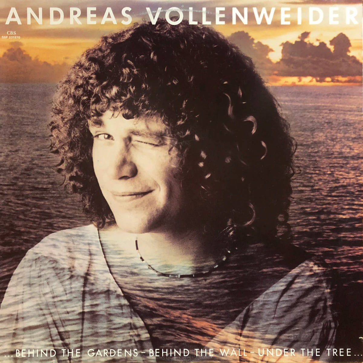 ANDREAS VOLLENWEIDER / ... BEHIND THE GARDENS - BEHIND THE WALL - UNDER THE TREE …