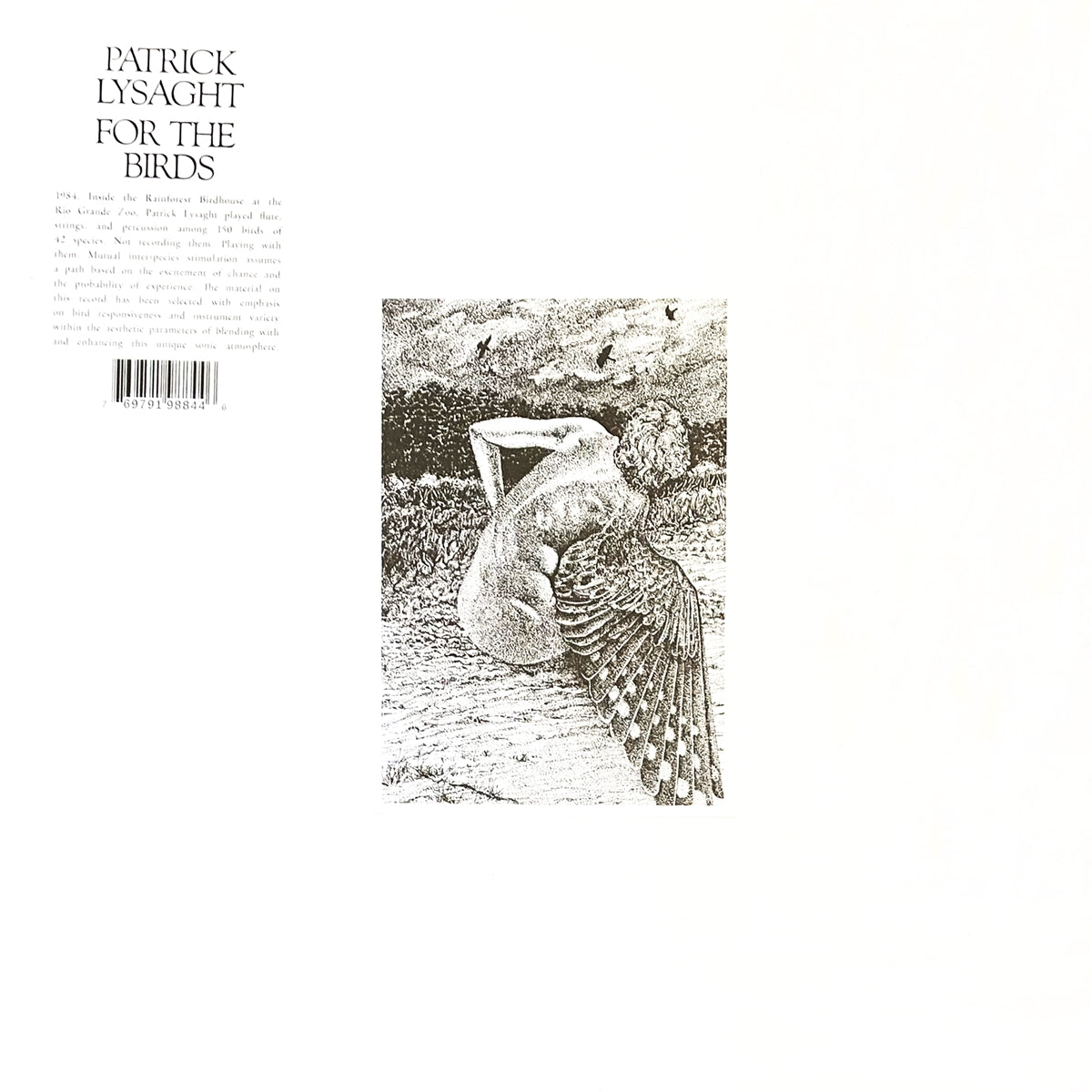 PATRICK LYSAGHT / FOR THE BIRDS