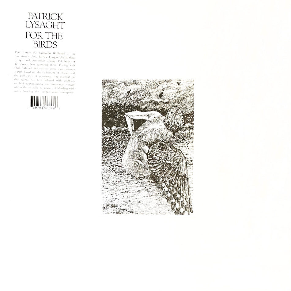 PATRICK LYSAGHT / FOR THE BIRDS