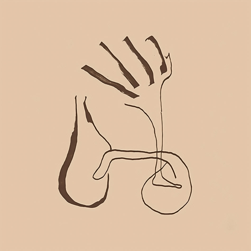 KONSTRUKT & ALEXANDER HAWKINS / LIVE AT CAFE OTO