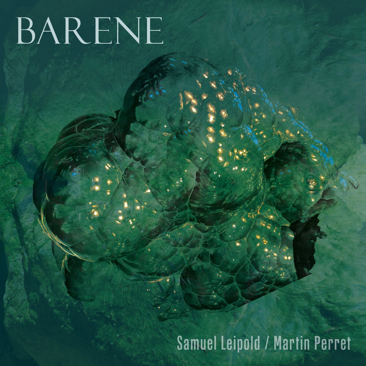 SAMUEL LEIPOLD, MARTIN PERRET / BARENE