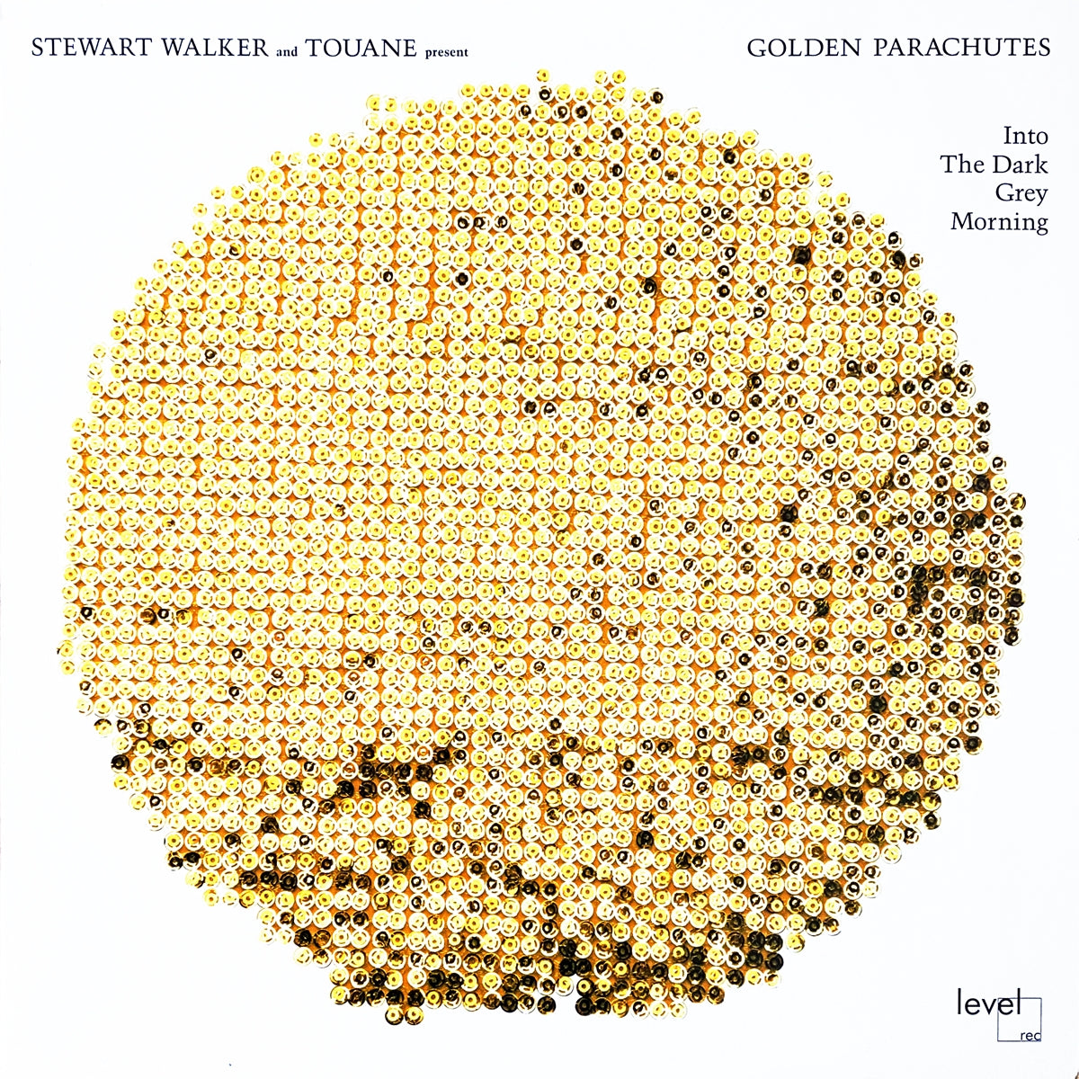 STEWART WALKER AND TOUANE PRESENT GOLDEN PARACHUTES / INTO THE DARK GREY MORNING