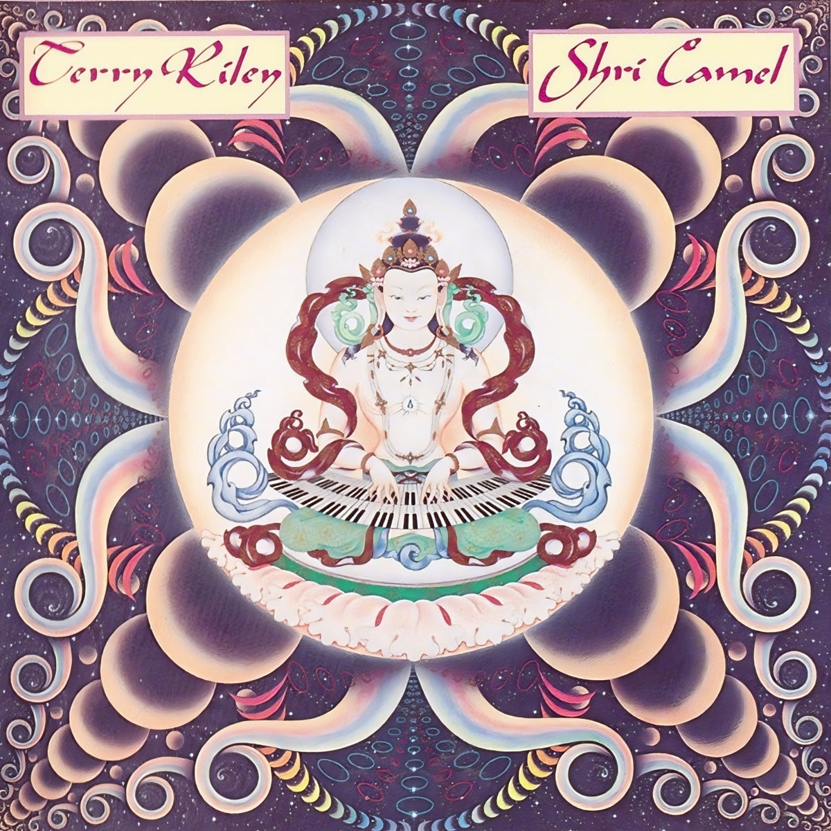 TERRY RILEY / SHRI CAMEL