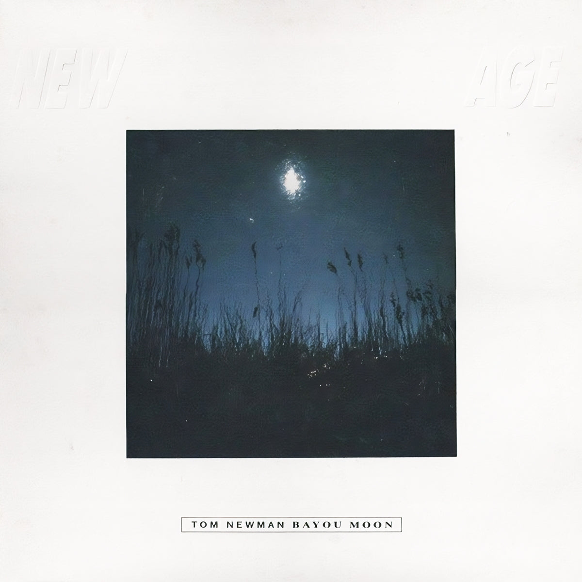 TOM NEWMAN / BAYOU MOON