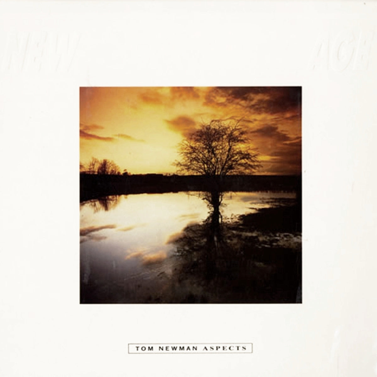 TOM NEWMAN / ASPECTS