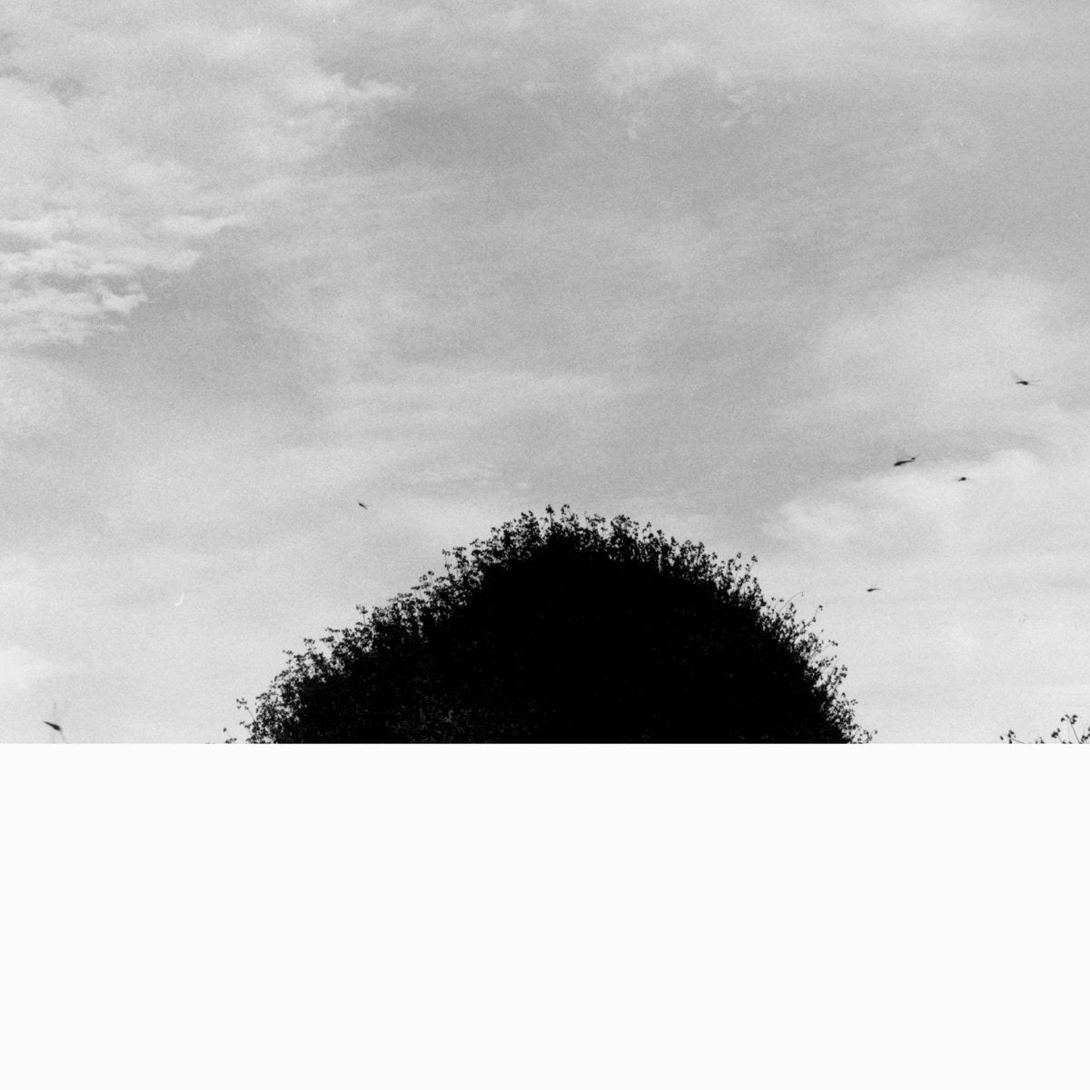 CHIHEI HATAKEYAMA / FORGOTTEN HILL