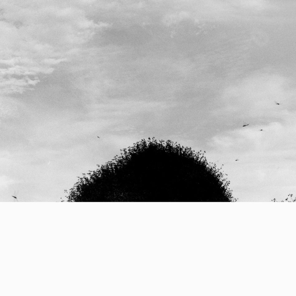 CHIHEI HATAKEYAMA / FORGOTTEN HILL