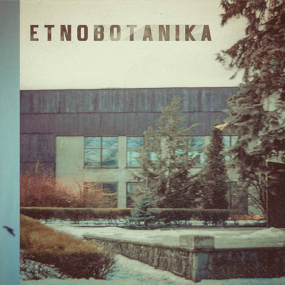 ETNOBOTANIKA / FRUWAJACY PRZESTEPCA