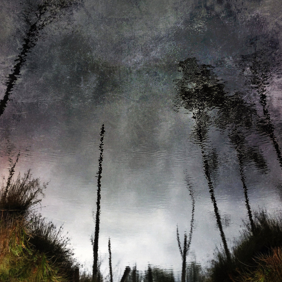 GHOST WOODS