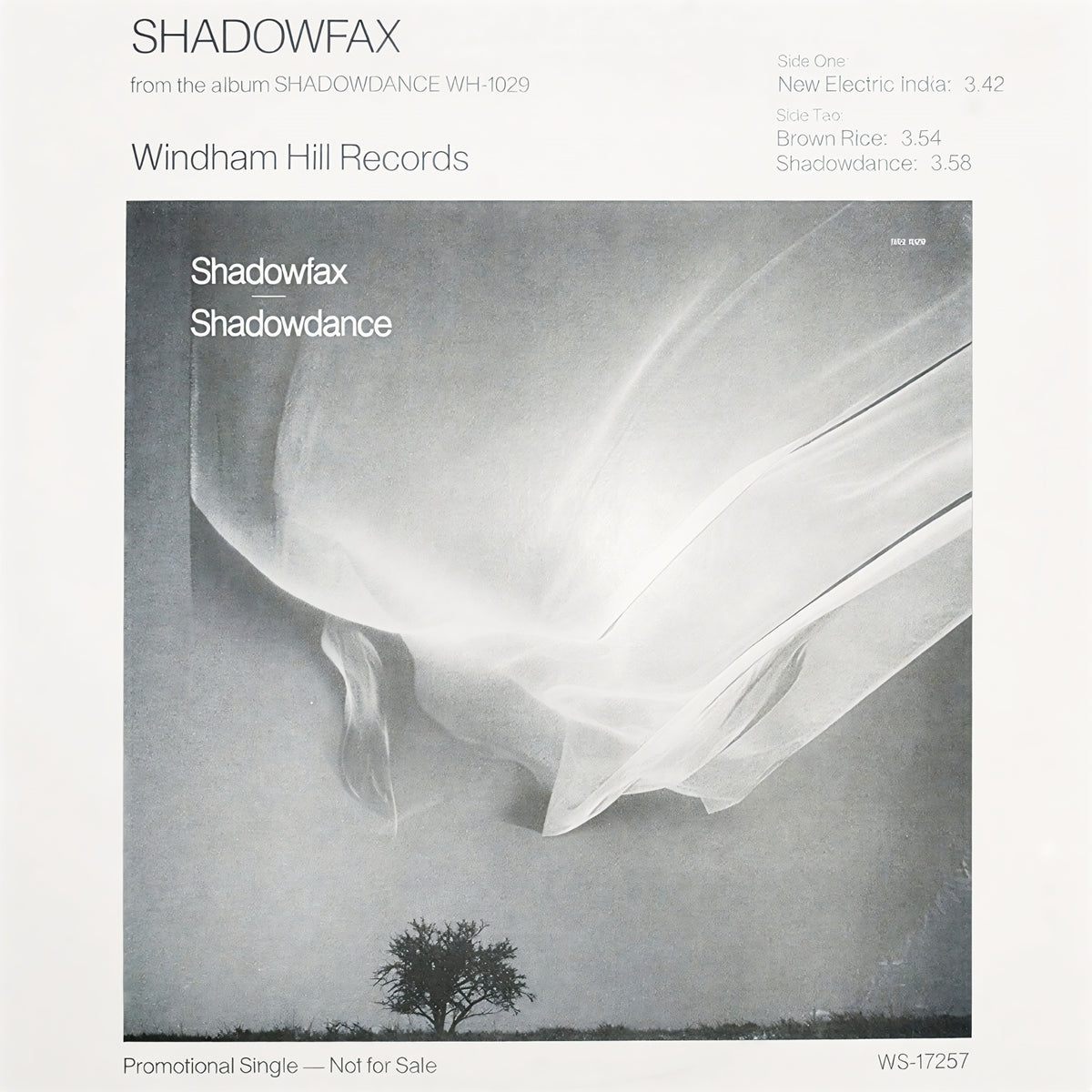SHADOWFAX / NEW ELECTRIC INDIA