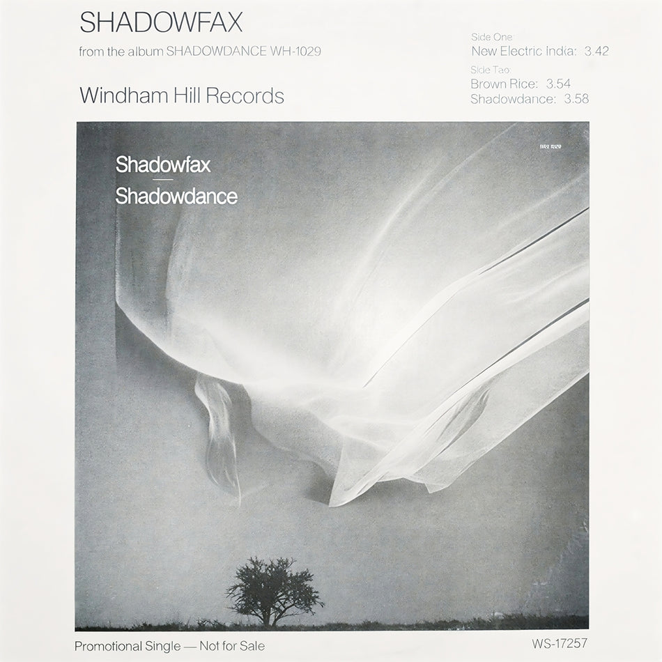 SHADOWFAX / NEW ELECTRIC INDIA