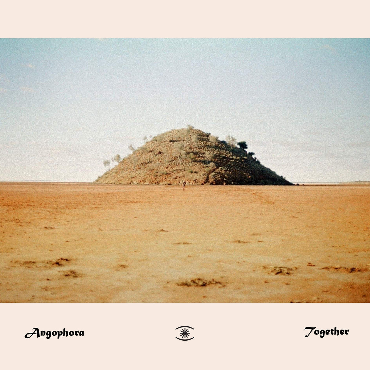 ANGOPHORA / TOGETHER